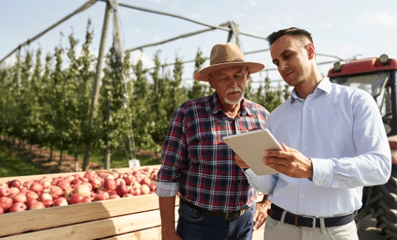 Two men inspecting crops using a tablet in an orchard.